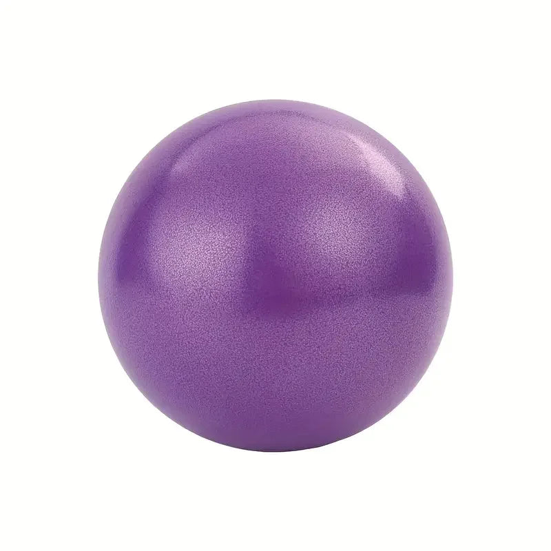 EXERCISE BALL