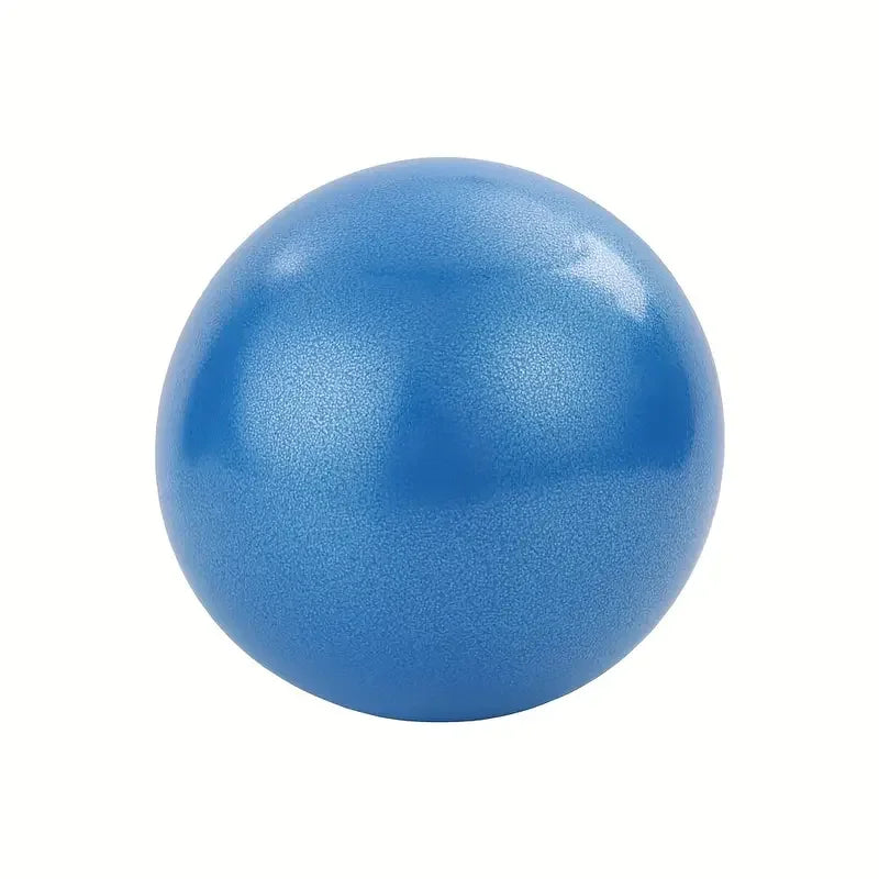 EXERCISE BALL